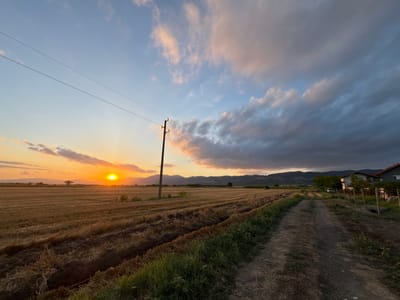 The image depicts a rural landscape at sunset in Blatets, Bulgaria. The scene is dominated by a vast, harvested wheat field, with stubble and tilled earth creating textured patterns. A dirt path runs along the right side of the frame, leading towards a cluster of buildings in the distance.
The sky is a dramatic blend of soft blues and oranges near the horizon, where the sun is setting. This warm glow illuminates the clouds, tinging them with pink and peach hues. Further up, the sky transitions to a deeper blue, with heavy, dark clouds gathering, suggesting the possibility of changing weather.
A lone utility pole stands in the middle ground, with power lines stretching across the sky. In the far distance, a range of mountains forms a silhouetted backdrop. On the right side of the image, several houses are visible, suggesting a small village or scattered rural dwellings. The overall mood is peaceful and serene, capturing the quiet beauty of the Bulgarian countryside at the end of the day. The time of day is clearly sunset, as indicated by the low sun and the warm, diffused light. There is no visible text in the image.