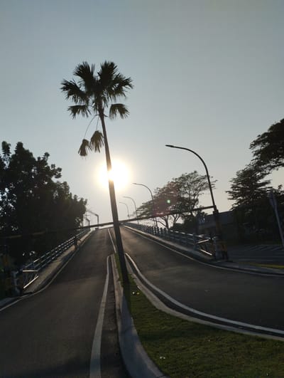 The image shows a road that appears to be part of an elevated highway or overpass in Sidodadi, Indonesia. The sun is setting or rising, positioned behind a silhouetted palm tree in the foreground, casting a bright glare. The road curves to the right and upward, bordered by metal railings on the left and grass on the right. Streetlights with curved poles line the road. Trees and vegetation are visible on either side of the road and in the background, some silhouetted against the bright sky. The sky is clear and pale blue. There is a single person on a bicycle on the left side of the road, cycling uphill.