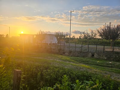 A tranquil sunset bathes a rural landscape in golden light. The scene features a small, modern white building situated amongst lush greenery and young trees. A wooden fence with vertical posts encloses a path leading towards the building and beyond, where more trees and foliage are visible. In the foreground, tall green plants and a weathered wooden post add depth to the composition. The sun, a bright orb, hangs low in the sky, casting long shadows and creating a warm, inviting glow. Wispy clouds are scattered across the pale blue sky, illuminated by the setting sun. A utility pole with wires runs across the upper portion of the image, suggesting the presence of infrastructure. The overall mood is peaceful and serene, evoking a sense of calm and natural beauty. No people or visible text are present in the image. The scene appears to be set in Ingiri, Georgia, given the provided location context.