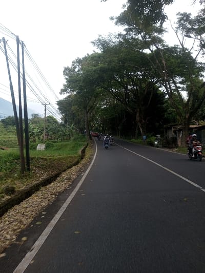 The image depicts a daytime scene on an asphalt road in Sat Thay (East), Myanmar, viewed from a low angle on the left side of the road, looking forward. The road features a solid white line marking its edge and a dashed white line indicating the center or lane division further ahead. To the left of the road, a concrete drainage ditch filled with dry leaves runs parallel to the asphalt. Beyond the ditch is a strip of green vegetation, including small plants and what appears to be a field or cultivated area, potentially rice paddies, extending towards distant hills visible under an overcast sky. Several utility poles with overhead power lines stand prominently along the left side of the road.
To the right of the road, a dense line of large, mature trees with dark green foliage forms a canopy, creating a tunnel-like effect further down the road. Scattered structures or small buildings are partially visible among the trees on the right.
Approximately ten motorcycles are present on the road. A group of five to six motorcycles is traveling away from the viewer in the distance, predominantly in the left lane. At least one rider in this group is wearing a helmet. Closer to the foreground, on the right side of the road, another motorcycle with two occupants, both wearing helmets, is moving towards the viewer. The motorcycle is red and white. Another motorcycle is parked or moving slowly near the right edge of the road, partially obscured by the trees. The overall lighting is diffuse, consistent with an overcast sky.