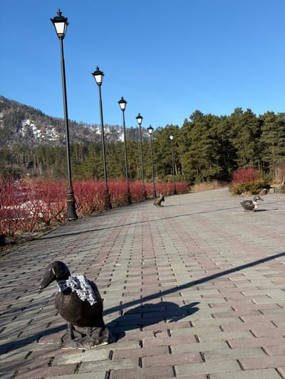 The image shows a brick-paved pathway in Manzherok, Russia, flanked by red-barked shrubs and tall evergreen trees on one side and a series of black lampposts reaching towards a clear blue sky on the other. The base of a snow-covered mountain is also visible. Statues of ducks are situated along the pathway, with the closest statue wearing a white lace collar. The shadow of an individual is visible on the pathway.
