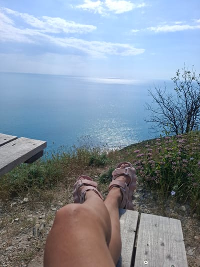In Bol'shoi Utrish, Russia, on a sunny day, a person's legs are visible from the knee down, resting on a wooden bench. They are wearing pink sandals and are positioned overlooking a vast, calm body of water that reflects the sunlight. The foreground features dry grass and scattered stones, with a cluster of small pink flowers growing on the right. A bare-branched tree stands further to the right, silhouetted against the bright blue sky dotted with white clouds. The wooden bench is weathered and grey, with visible screws. The overall scene suggests a peaceful moment outdoors, likely in a coastal or cliffside location.