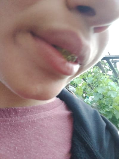 A close-up, low-angle, outdoors shot shows the lower face of a person, with their mouth open, holding a piece of green food between their teeth. The person is wearing a pinkish-red shirt and a dark jacket. In the background, out of focus, is foliage from a plant, possibly a grapevine, suggesting a rural or garden setting. The image's quality is grainy, with a shallow depth of field that blurs the background. The specific location of Cîrpești, Moldova, is not visually evident within the image itself, but the presence of what appears to be a grapevine could be consistent with agricultural regions.