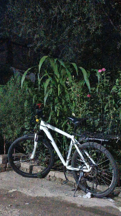 The image shows a white bicycle with a front basket and a rear rack parked outdoors at night. The bicycle is positioned on a paved surface next to a low brick wall. Behind the bicycle, there is dense vegetation, including tall leafy plants and some smaller flowering plants with pink blossoms. The lighting suggests it is dark, with some artificial light illuminating the scene, causing graininess in the image. The environment appears to be a garden or a natural area within a city. The exact location of Пистамазор, Tajikistan, is a residential area known for its proximity to agricultural fields and green spaces. This scene is consistent with a typical outdoor setting in such a location.