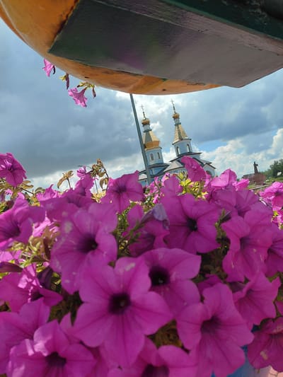 A low-angle, close-up shot captures a cluster of vibrant pink petunias in the foreground, their velvety petals and dark centers filling the lower half of the frame. The flowers appear to be planted in a bed or pot, with glimpses of green foliage peeking through.

Behind the flowers, the sky is a dramatic mix of dark, heavy clouds and patches of bright blue, suggesting a dynamic weather system. In the mid-ground, two blue church domes with golden spires rise prominently against the cloudy sky, indicative of religious architecture. A statue of a person can be seen to the right of the churches, its form silhouetted against the sky.

Above the scene, the underside of a large, yellow structure with a dark grey trim is visible, casting a shadow over some delicate pink flowers hanging from it. This structure appears to be an overhang or a part of a larger building. The overall scene suggests an outdoor setting, possibly a park or a public space, with the churches providing a significant landmark. Based on the provided information, this scene is located in Kovalivka, Ukraine.