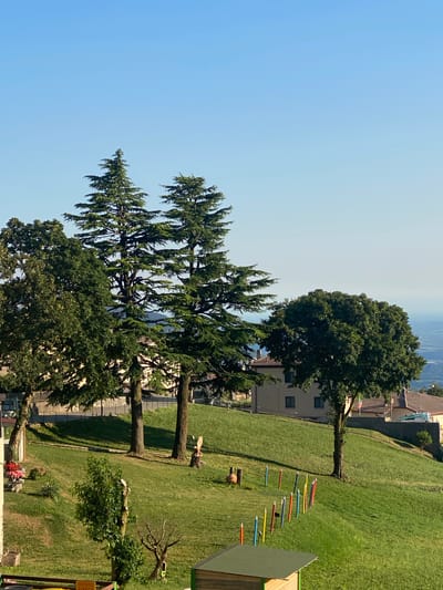 The image shows a sunny outdoor scene in Caprino Veronese, Italy. The view is from a slightly elevated perspective, looking down onto a grassy slope with several trees. In the foreground, there are tall coniferous trees with feathery branches. Further down the slope, a large, leafy deciduous tree stands prominently. Between the trees, a building with a light-colored facade and dark-framed windows is visible. Beyond the building, a distant landscape with a body of water and more buildings can be seen under a clear blue sky, suggesting it's a bright, fair-weather day.
On the grassy slope, there are several colorful cylindrical objects placed in a line, appearing to be part of a playground or an obstacle course. Some wooden elements, possibly decorative or functional, are also present on the grass. The overall setting suggests a residential area or a park with recreational features. The sunlight casts shadows, indicating it is likely daytime, possibly late morning or early afternoon given the angle of the sun and shadows. No people are visible in the image. There is a yellow sign with Italian text that reads "VIETATO SCARICO," meaning "NO DUMPING."
