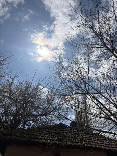 The image shows a view looking up at a partly cloudy sky through the branches of trees. The sun is visible, partially obscured by clouds, creating a bright spot with a faint rainbow halo. A section of a building with a textured, dark-colored roof or wall is visible on the right side of the frame. The trees appear to be in early spring, with small buds beginning to emerge on the branches. No people are visible. The location is specified as Kriva Bara, Bulgaria.