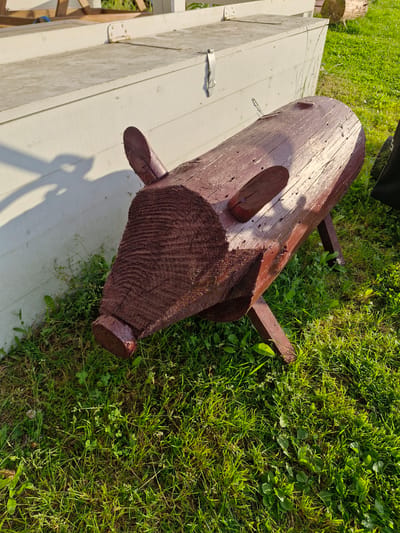 A wooden log carved to resemble a pig, painted dark red, rests on a grassy area. The pig has two small, flat ears and a snout. Its body is cylindrical with visible wood grain. Four wooden legs support the body. Behind the pig is a white, flat-topped structure, possibly a bench or a boat, with a shadow cast on it from an unseen object. The area is illuminated by sunlight, creating distinct shadows. The ground is covered in green grass and small plants. The location is the city of Sorochkino, Russia. There are no people or animals visible in the image.