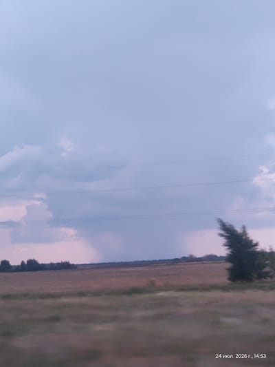The image depicts a rural landscape under a cloudy sky, possibly at dusk. In the distance, a line of trees is visible against a flat, cultivated field. A single, wind-swept tree stands to the right of the frame. A rain shower is visible in the distance, appearing as a dark curtain against the sky. The sky is a gradient of pale blue and purple, with some lighter clouds and darker formations suggesting an approaching storm. Several faint horizontal lines, likely power lines, are strung across the sky. The bottom right corner of the image contains a timestamp: "24 июл. 2026 г., 14:53". The scene is devoid of any people or animals. The image appears to have been taken from a moving vehicle, indicated by the slight blur in the foreground. The location is stated to be Altyn dy rural district, Kazakhstan.