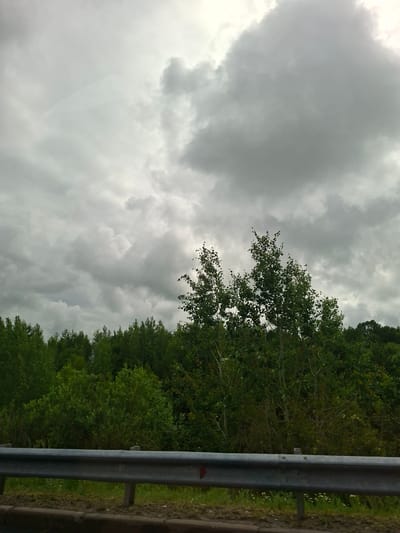 The image depicts a roadside view of a densely forested area under a heavily overcast sky. A metal guardrail runs horizontally across the bottom of the frame, indicating a road or pathway. The trees are predominantly green, with a mix of deciduous and possibly some coniferous species, forming a thick canopy. The sky is filled with dark, heavy clouds, suggesting an imminent storm or a generally gloomy weather condition. The lighting is diffused and muted, casting a uniform shadow across the landscape. There are no people or animals visible in the image. The scene appears to be located in a natural or semi-natural environment, likely outside of a densely populated urban area. The specific location in Lesnye Morkvashi, Russia, suggests a rural or semi-rural setting characterized by abundant woodland.
