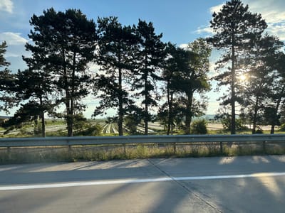 The image depicts a landscape scene from a roadside perspective, likely captured while traveling on a highway. In the foreground, a paved road with a white stripe is visible, casting long shadows from unseen objects. A metal guardrail separates the road from the background. Beyond the guardrail, a row of tall, dark green pine trees stands silhouetted against a bright, partly cloudy sky. The sun is setting or rising, with its rays filtering through the trees, creating lens flare and highlighting parts of the foliage. In the distance, a field is visible, with distinct parallel rows of crops or vegetation, possibly indicative of agricultural land. The overall setting suggests an open, rural or semi-rural environment. The city of Kareli, Georgia, is not explicitly visible or identifiable within the provided image.