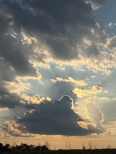 This is a vertical, eye-level, medium shot photograph of a dramatic sky over a field of sunflowers, with trees silhouetted on the horizon. The sky is filled with heavy, dark grey clouds interspersed with patches of bright sunlight breaking through. The sun, positioned behind a large, dark cloud formation, creates a halo effect, with rays of light fanning out. The lower portion of the image shows a dark line of silhouetted trees against a pale orange, hazy sky, and below that, a field of sunflowers is visible as a dark, textured mass. The overall scene suggests either an approaching storm or the aftermath of one, with the sun attempting to break through the cloud cover. The location is stated to be Smilets, Bulgaria.