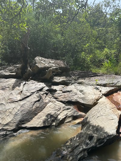 This is a photograph of a rocky stream bed in Fobur, Nigeria. The stream is shallow and the water is murky brown. The rocks are large and uneven, with some covered in moss and vegetation. Trees and dense foliage surround the stream, creating a lush, green environment. The sunlight filters through the leaves, casting dappled shadows on the rocks. In the center of the image, a piece of driftwood is lodged between two large rocks, adding an interesting element to the natural landscape. There are no people visible in the image. The scene is tranquil and undisturbed, suggesting a natural and secluded spot.