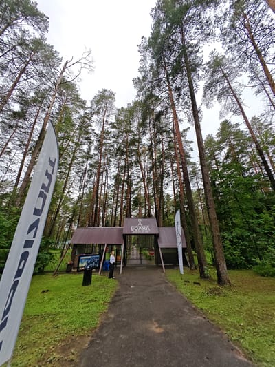 The image depicts the entrance to a children's camp named "ВОЛНА" (Volna) in the Драчкаўскі сельскі Савет, Belarus. A wide paved path leads to an arched entrance gate, flanked by two brown, sloped-roofed buildings. A tall, white flag with black lettering is positioned to the left of the path. In front of the left building, there is a digital display board with information. A woman in a white blouse and dark pants stands near the right building, facing the entrance. The surroundings are dominated by a dense forest of tall pine trees, with lush green grass covering the ground. The sky is overcast.