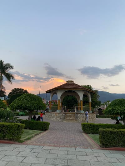 A partially vertically-oriented photograph captures a public square scene in Santa María del Tule, Oaxaca, Mexico. The sky transitions from a pale blue to a muted orange, with streaks of puffy clouds. A gazebo with a terracotta tile roof and arches stands prominently to the left, constructed with stone bases and terracotta columns. 

A paved pathway, made of reddish-brown herringbone bricks, runs alongside trimmed green hedges and manicured trees. People are visible in the background near the gazebo, some standing and others sitting.

In the lower-left corner is a palm tree and other low-lying vegetation. Faint mountains are visible in the distance. The scene captures a park environment during the twilight hour.