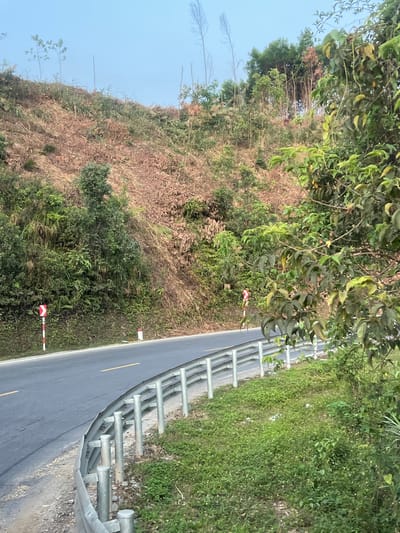 The image shows a road in Aê Thi, Vietnam, curving along a hillside. A metal guardrail runs along the right edge of the road. The hillside is covered in vegetation, including trees, shrubs, and dry grasses. There are two reflective warning signs along the roadside. The sky is visible in the upper left of the frame, suggesting a daytime shot.