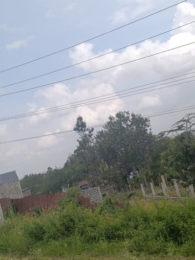 The image depicts a semi-developed landscape in Matungulu west ward, Kenya, under a partly cloudy daytime sky. Five parallel power lines stretch horizontally across the light blue sky, which contains scattered white cumulus clouds. The foreground and midground are covered in dense green foliage, consisting of tall grasses and various shrubs. In the midground, a rusty corrugated metal fence runs horizontally, partially obscured by vegetation. Behind this fence, on the left, a partially constructed building made of grey concrete blocks is visible, topped with a dark roof section. To the right of the metal fence, another structure of grey concrete blocks, possibly an unfinished wall or foundation, stands near a smaller, dilapidated structure partially hidden by foliage. Further to the right, a series of vertical posts, appearing to be timber or unfinished concrete, are arranged in a line. The background is dominated by numerous tall trees with green canopies, through which distant structures and a dark-colored vehicle are faintly discernible. No individuals are present, and no actions or interactions are depicted.
