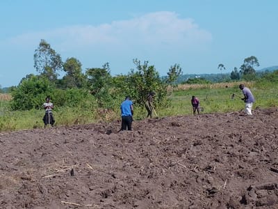 A rural scene depicts five people working a field. One woman stands with a tool, and a man in blue bends over, seemingly digging. Further in the background, three more people are also working with tools, likely hoes or similar implements. The freshly tilled soil is a dark brown, and a line of trees and vegetation sits at the edge of the field, backed by a bright blue sky with some clouds. The scene conveys a sense of manual labor and agriculture.