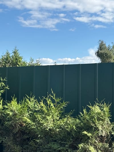 The image shows a close-up, vertically oriented view of a dark green corrugated metal fence. Lush green foliage from evergreen trees, likely junipers or cedars, grows in front of and to the right of the fence, obscuring some of it. The branches of the trees are detailed, with sunlight illuminating them, creating a dappled effect and highlighting the texture of the needles. The top edge of the fence is visible, and beyond it, a bright blue sky with scattered white, wispy clouds is visible. The lighting suggests it is daytime, likely late morning or early afternoon, given the brightness of the sky and the shadows on the foliage. There are no people or discernible text in the image. The scene appears to be outdoors, possibly in a garden or yard, with the fence serving as a boundary. The overall impression is one of a sunny day with abundant greenery.