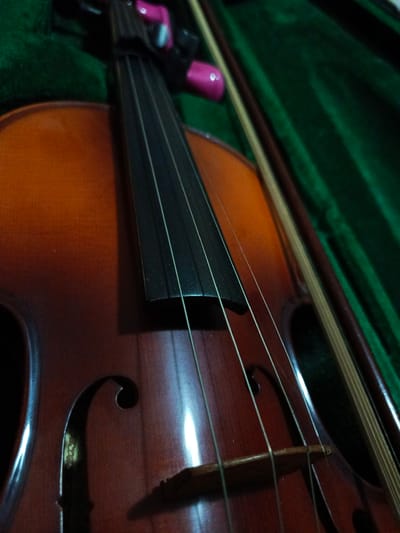 The image shows a close-up view of a brown violin inside a green case. The fingerboard and strings are visible, as is part of the bow. The violin is resting in its case. There is no evidence to support the location of the image being in the city of Monagas, Venezuela.