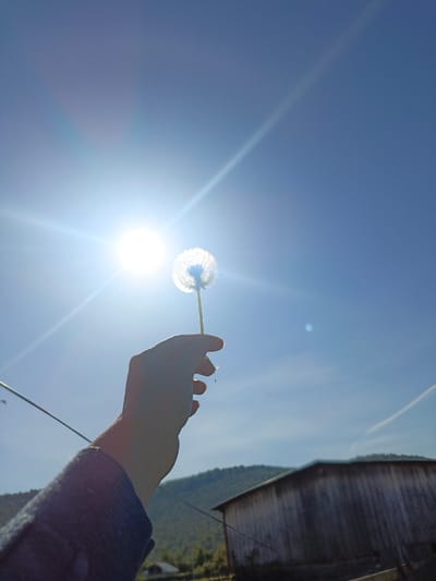 A hand holds a dandelion against a bright blue sky with the sun shining directly behind it, creating a flare effect. The dandelion's seeds are visible, some appearing to float in the air. In the background, a weathered wooden building and a forested hillside are visible. The location is not Gabdyukovo, Russia. There is no information in the image to determine the location.