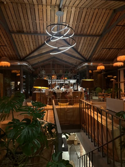 This image depicts the interior of a dimly lit, upscale restaurant or bar in Grândola, Portugal. The architecture features a high, pitched wooden ceiling with exposed metal beams, and large windows on the sides. The ambiance is warm and inviting, with a focus on natural materials and rustic elegance.
In the foreground, large, leafy green plants, likely Monstera, add a touch of tropical flair. A dark metal staircase with a light-colored railing leads down, and a portion of a plush, caramel-colored sofa is visible on the right.
The central area of the restaurant is dominated by a long, wooden bar where several people are seated and being served. Two bartenders, dressed in light-colored shirts, are visible behind the bar, interacting with patrons. One patron, wearing a white shirt, is seated at the bar, facing away from the camera. Another person, also in a light shirt, is partially visible.
Behind the bar, shelves are stocked with bottles and decorative glass jars. The lighting is atmospheric, with large floor lamps casting a warm glow, and a striking modern chandelier with white LED lights hanging from the ceiling. Woven pendant lamps with fringe are also visible, adding to the eclectic decor.
To the right of the bar, smaller tables with chairs are set up, suggesting additional seating areas. The overall scene conveys a relaxed yet sophisticated dining or socializing experience.