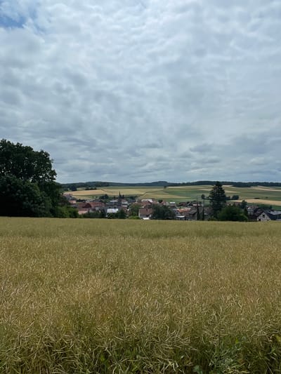 The media file depicts a scenic rural landscape in Seigertshausen, Germany. The image is oriented vertically, showcasing a village nestled in a valley. In the foreground and to the right, a field of dry, golden grass or crop stretches across the frame. To the left, a dense green forest borders the upper edge of the image, transitioning into a wide expanse of cloudy sky.

The village is characterized by its red-tiled roofs and white or light-colored walls, with a prominent church spire visible. The surrounding land is divided into agricultural fields of varying shades of green and yellow, suggesting a patchwork of crops. A narrow, winding road or path can be seen leading into the village. The time of day appears to be daytime, with diffused sunlight filtering through the overcast sky. The weather is cloudy, with the sky filled with soft, textured clouds.

No people or specific objects are clearly discernible within the village or fields, placing the focus on the natural and built environment. The overall impression is one of tranquility and pastoral beauty. There is no visible text in the image.