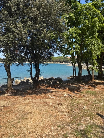 The image shows a coastal scene in Općina Vrsar, Croatia. The foreground consists of a rocky shoreline covered in gravel and sparse vegetation, transitioning into a line of trees with varying foliage density. Beyond the trees, the turquoise water of the Adriatic Sea stretches into the distance, with glimpses of land or structures visible on the opposite shore. A dark, wrought iron railing exists between the trees and the water. The overall scene is sunlit, with shadows cast by the trees on the ground.