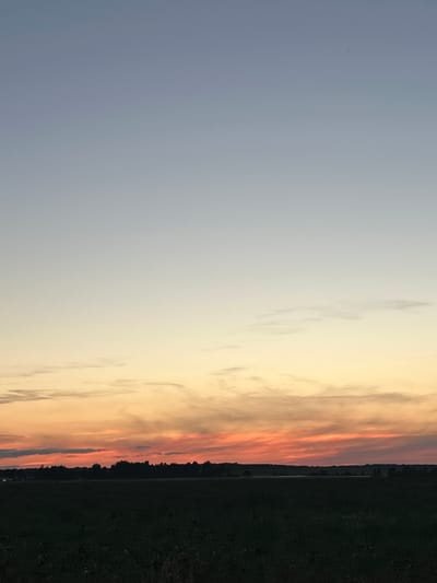 The image depicts a rural landscape at dusk. The sky transitions from a pale blue at the top to hues of yellow and orange near the horizon, indicating the setting sun. Wispy clouds are visible in the sky. A dark silhouette of trees and vegetation forms a line across the mid-ground, suggesting a forest or a treeline along a body of water, which is not clearly discernible. In the foreground, a dark, dense field of vegetation occupies the lower portion of the frame. The scene is devoid of any human presence or activity. The location is identified as Abushkovo, Russia.