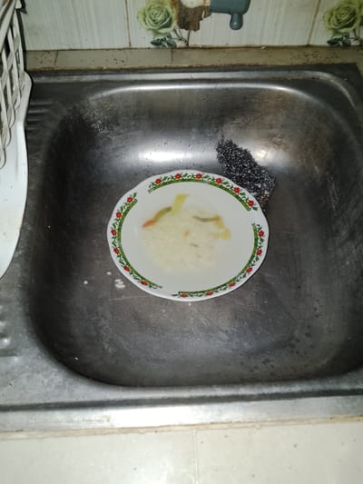 An overhead shot shows a dirty kitchen sink in Sendangrejo, Indonesia. The sink is made of stainless steel and contains a white plate with red flowers and green leaves around the rim. The plate holds a small amount of white rice and some pieces of green and orange food. A steel scouring pad rests to the right of the plate. The sink is wet, with water droplets visible. The backsplash behind the sink has tiled walls with a floral pattern of green roses. A faucet is partially visible at the top of the image. To the left of the sink, a white dish rack is partially visible. The sink area appears unkempt, with visible grime and a general lack of cleanliness.