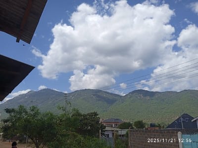 The image depicts a wide-angle view of Namanga, Kenya, on 2025/11/21 at 12:56. The prominent background features green, heavily vegetated mountains under a bright blue sky with scattered white cumulus clouds. In the immediate foreground, the upper left displays two converging sections of dark, sloped roofing material, with a small dark bird in flight between them. A human subject, visible from the head and shoulders, with dark hair, stands partially obscured in the lower-left foreground, facing towards the left. The mid-ground contains dense green foliage from various trees and shrubs. Several residential structures are visible, including a multi-story building with a light facade and dark roof on the left and a building with a steep, dark, angular roof and light walls on the right. A dark water storage tank is situated on a rooftop in the mid-ground. A utility pole and several horizontal utility lines traverse the upper mid-ground, extending across the mountain range. The lower right foreground is dominated by a low masonry wall constructed of light-colored bricks or blocks, behind which a section of a blue metal gate or fence is visible.