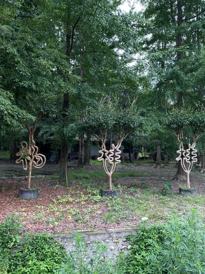 The image depicts a natural setting with a path winding through trees. Several art installations, resembling stylized trees or abstract sculptures made of coiled branches, are prominently featured along the path. These sculptures are set against a backdrop of lush green foliage and a variety of trees. The ground is covered with fallen leaves and some scattered greenery. In the distance, more trees and some man-made structures are visible. One of the sculptures has a black mesh base. The scene appears to be outdoors, possibly a park or a garden. The lighting suggests it is daytime, and the overall atmosphere is serene and natural. There is a sign visible in the background with Chinese characters, though the text is not clearly legible. The image is oriented vertically.