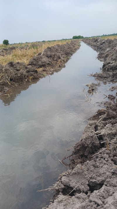 The image shows a narrow, muddy irrigation ditch filled with water, running through a harvested field. The ditch is flanked by mounds of dark, wet soil with some dried grass and plant debris. In the background, the field continues, appearing to be a stubble field, with dry vegetation and a few scattered trees or bushes. The sky is overcast, with a light gray hue. The scene is likely rural, possibly agricultural land in or near Saidaul, Uzbekistan, given the context of irrigation ditches and harvested fields. There are no people or animals visible in the image. The overall impression is one of agricultural activity and the management of water resources.