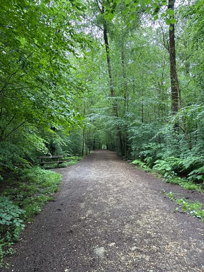 This vertical-format image depicts a woodland path in Penn, United Kingdom. The central unpaved path, composed of dark gravel or dirt with scattered lighter particles, extends linearly into the distance, narrowing in perspective. Dense deciduous trees with vibrant green foliage line both sides of the path, forming a continuous canopy overhead. The undergrowth is thick, featuring various leafy green plants and ferns, notably on the right side in the foreground. A weathered wooden bench is positioned off the left side of the path, approximately one-quarter of the way into the frame from the bottom. In the far distance, a small, dark, silhouetted human figure is visible, walking along the path away from the viewer. The scene is illuminated by soft, diffused light, indicating an overcast sky or heavy tree cover.