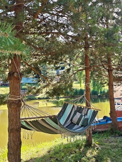 A hammock made of striped green and blue fabric, with wooden spreader bars and braided ropes, is suspended between two pine trees. Two pillows, one larger and one smaller, both striped in green and white, are placed inside the hammock. The hammock is tied to the trees with white rope. To the right of the hammock, a red and blue boat is partially visible, docked near the water's edge. The scene is set in a natural environment with tall green trees, lush grass, and a body of calm, yellow-tinted water. In the background, a green building with a teal roof and a white picket fence can be seen. The overall setting appears to be a tranquil outdoor recreational area. The location is identified as Sosny, Ukraine.