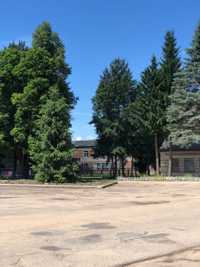 In the city of Izdeshkovo, Russia, on a clear, sunny day with a bright blue sky, a spacious, sparsely populated concrete courtyard is depicted. The foreground is dominated by the aged, textured concrete, marked with numerous dark, irregular stains, likely from water or oil, and crisscrossed by faint cracks, indicating wear.

Behind the courtyard, a variety of trees form a dense, verdant backdrop. On the left, a large, mature deciduous tree with lush green foliage stands prominently. To its right, a tall, conical evergreen tree, possibly a spruce, with dense, dark green needles, is centrally positioned. Further to the right, another evergreen tree, with a slightly more muted, bluish-green hue, is visible. The trees are interspersed with other evergreens and deciduous trees of varying sizes, creating a layered effect.

Beyond the trees, two buildings are partially visible. The building on the left appears to be a low-rise structure made of brick, with visible windows. The building on the right is a multi-story brick building with a dark, sloped roof. Several windows with white frames are discernible.

A decorative white metal fence with an intricate pattern runs horizontally across the middle ground, separating the courtyard from the area with the buildings and trees. A glimpse of a green bench can be seen behind the fence. A small flowerbed with scattered colorful flowers is situated in front of the fence, near the base of the trees. The overall impression is one of a quiet, somewhat weathered, but well-established public space.