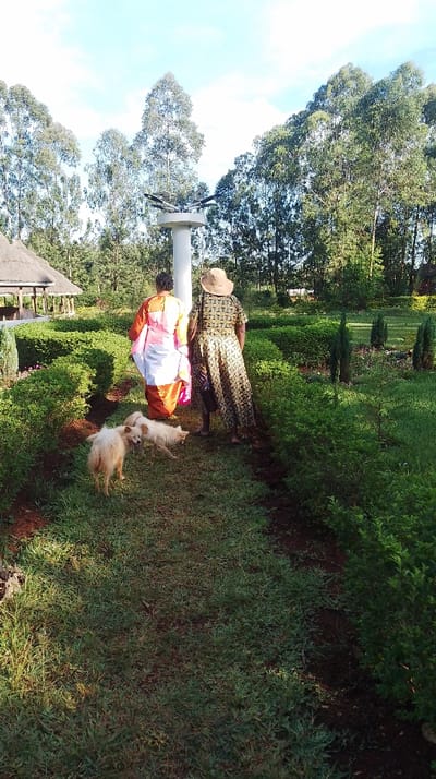This image captures an outdoor scene in a well-maintained park or garden within Kisa Central ward, Kenya, under natural daylight with a partly cloudy sky. Two individuals are seen from behind, walking away from the viewer along a narrow, unpaved grassy path. The person on the left wears a multi-colored garment primarily orange and white. The person on the right wears a dark, patterned long dress and a wide-brimmed, light-colored hat, carrying a dark bag on their left side.
In the foreground, two light-colored, medium-sized dogs are present near the path. One dog with shaggy, light brown fur stands on the left of the path, looking towards the right. The second dog, slightly smaller and also light-furred, is crouched or lying on the path, facing away from the first dog.
A prominent feature in the midground is a tall, white cylindrical pole topped with a multi-armed fixture, potentially a street light or decorative element. To the far left, a round gazebo-like structure with a conical thatched roof and wooden pillars is visible amidst green foliage. The background is characterized by a dense line of tall, slender trees, likely eucalyptus, rising against the sky. The landscape includes manicured green hedges bordering the grassy path, interspersed with other shrubs and dark soil patches.