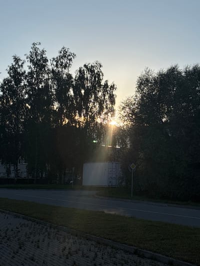 The image captures a scene in Sauleskalns, Latvia, during a sunset. The foreground shows a paved walkway with sparse vegetation and a strip of grass bordering a road. Beyond the road, a large, white shipping container is visible, accompanied by a traffic signpost with a yellow diamond-shaped marker. Dense trees with dark foliage dominate the middle ground, with the sun's rays filtering through their branches, creating a sunburst effect. In the distance, a low-rise building with multiple windows can be seen peeking through the trees on the left side of the frame. The sky above is a pale blue, gradually fading to lighter hues near the horizon, characteristic of twilight. No people or animals are discernible in the image.