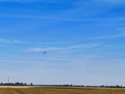 The image captures a wide-angle view of a rural landscape under a clear blue sky with sparse wispy clouds. In the upper portion of the sky, a dark silhouette of an airplane is visible, flying from left to right. The horizon line is low in the frame, dividing the sky from the land. Below the sky, a strip of trees forms a dark line across the mid-ground, with a few scattered buildings and structures visible behind them. The foreground is dominated by a field of dry, golden-brown vegetation, likely crops or hay, with some tire tracks visible on its surface. A solitary wooden utility pole stands on the left side of the frame, rising from the field. The overall impression is one of a sunny, tranquil day in the countryside. The image does not provide specific details that would allow for pinpointing the exact location within Peseux, France, but it depicts a typical rural setting found in such areas. There are no people visible in the image.