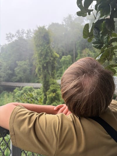 A person leans on a metal railing, their head resting on their arms, with their back to the camera. They are wearing an olive green t-shirt. The background is a lush, misty forest with a bridge visible in the distance. Large green leaves frame the upper right corner of the image. The scene appears to be in Pong Yaeng, Thailand, a mountainous region known for its cool climate and abundant greenery.