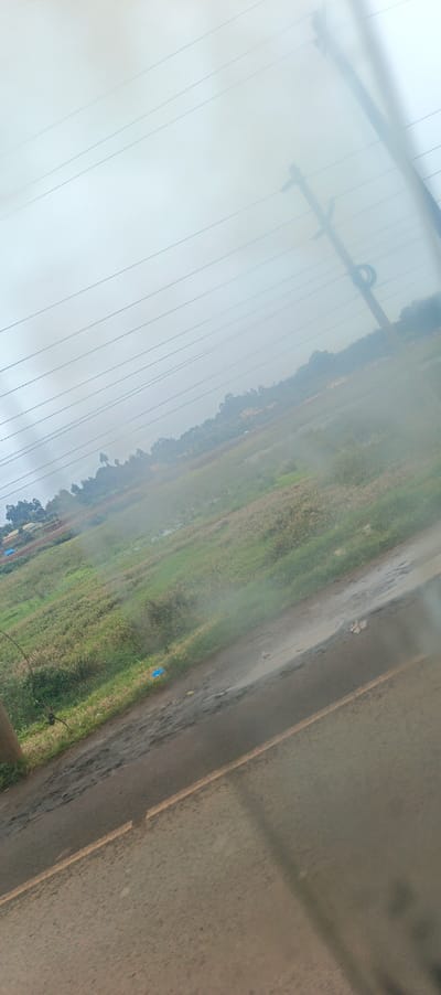 A hazy, diagonal view shows a roadside with patchy green vegetation and a partly flooded grassy area. Overcast sky with power lines is visible. A utility pole is in the upper right. The road is asphalt with puddles and uneven sections. Distant buildings and trees are faintly discernible in the upper background. The overall impression is one of dampness and limited visibility.