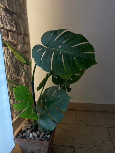 The image depicts an indoor scene in Kliczków, Poland, focused on a potted artificial Monstera plant. The plant, centrally located, consists of multiple large, dark green, fenestrated leaves and several smaller, lighter green leaves, supported by dark stems. It is contained within a rectangular, terracotta-colored planter adorned with relief patterns. The top surface of the planter is covered with an assortment of small, light-colored pebbles and a few larger, irregularly shaped, off-white decorative stones.
The plant rests on a floor composed of light brown or beige square tiles exhibiting a speckled pattern. To the immediate left of the plant, a segment of a rough-hewn stone or brick wall is partially visible, appearing behind a tall, narrow, vertical panel that emits a bright white light. To the right of the plant and forming the background is a plain, light-colored wall with a textured finish and a low baseboard or dado rail running horizontally. No individuals are present in the scene, and no active interactions are depicted.