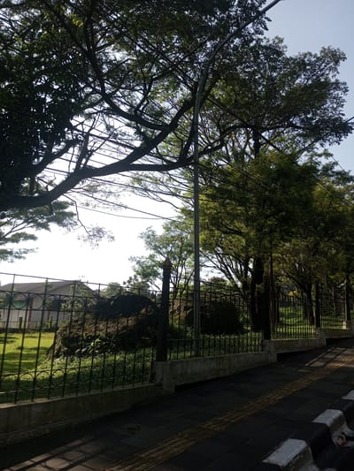 The image depicts a sidewalk with tactile paving along a road in an urban area, possibly in Nhot Chang, Laos. A wrought-iron fence runs along the side of the sidewalk, separating it from a grassy area. Behind the fence, there is a large rock covered in vegetation. A single-story building is visible in the background. Trees line the street and provide partial shade, casting shadows on the sidewalk. A light post is also visible. The sky is bright. There are no people visible in the image.
