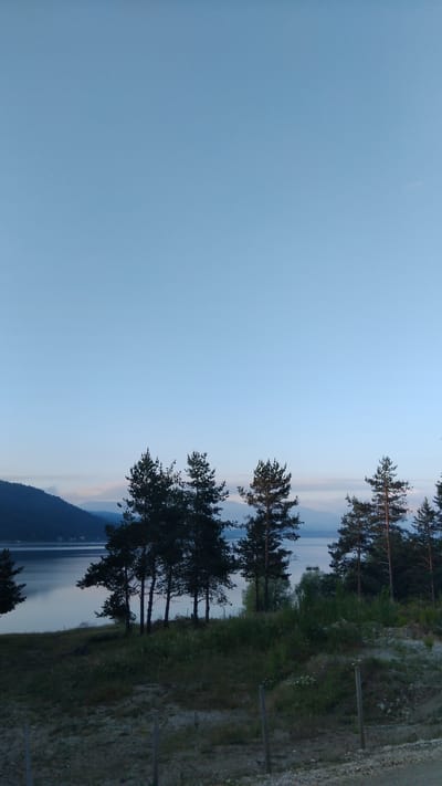 This is a vertical, outdoor, full shot photograph taken at dusk in Sv. Konstantin, Bulgaria. The image captures a tranquil landscape featuring a calm body of water, likely a lake or reservoir, with a forested shoreline. Several tall pine trees are prominent in the foreground, silhouetted against the pale blue sky. Beyond the immediate shoreline, a gentle slope covered in grass and low vegetation leads down to the water. In the distance, a dark, forested mountain range is visible on the left side of the frame, while the right side shows a more distant, hazy mountain range across the water. The sky is a clear, soft blue, transitioning to lighter hues near the horizon where faint clouds can be observed. There are no people or animals visible in the scene. The overall impression is one of natural beauty and peaceful solitude.