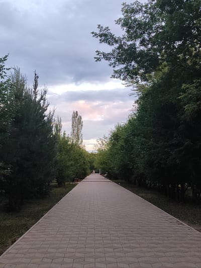 The image shows a paved pathway lined with trees, likely in a park or public area in Slavgorod, Russia. The pathway is constructed with geometric patterned pavers. On either side of the path, lush green trees form a canopy, with some taller, slender trees interspersed among them. The sky is overcast with dramatic clouds, suggesting either the approach of a storm or the aftermath of one. There's a hint of soft, pastel light breaking through the clouds in the distance, possibly indicating sunrise or sunset.
In the far distance, two small figures can be seen walking on the pathway, adding a sense of scale and suggesting the path is a place for recreation or transit. A dark object, possibly a trash receptacle, is visible to the left of the path. The overall mood is serene and natural, with a touch of atmospheric drama from the sky. The time of day appears to be late afternoon or early evening, given the lighting conditions. No visible text is present in the image.