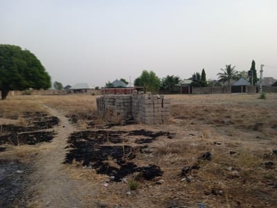 An open, dry field stretches towards a horizon dotted with buildings. A large tree stands on the left side. A stack of grey bricks sits in the middle ground, surrounded by burnt vegetation. A dirt path winds through the field, leading towards the buildings. Tall trees, fences, and a utility pole are visible further back. The sky is overcast, casting a muted light over the scene. The overall impression is one of dryness and rural scenery.