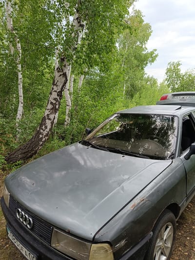 A medium shot shows the front of a grey Audi car parked on a dirt road. The car has a dented hood, a rusted front fender, and a cracked windshield. The car's license plate reads "603 CFA09" in Cyrillic script. The car is surrounded by trees and foliage, with a fallen birch tree leaning against other trees in the background. The sky is overcast. The location is the city of Imeni Tel'mana Nomer Tretiy, Kazakhstan.