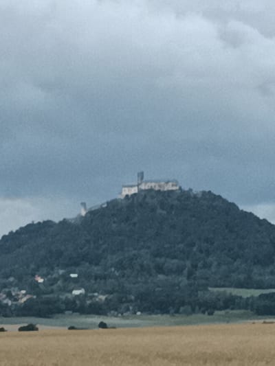 The image depicts a hazy, overcast sky above a domed hill covered in dark green foliage, possibly trees. A castle-like structure with white walls and visible towers is situated at the summit of the hill. The lower slopes of the hill are dotted with several small, scattered buildings with lighter-colored roofs. In the foreground, a field of dry, light brown grass or crops stretches horizontally across the bottom of the frame, with a few dark, low-lying bushes scattered in the field. The overall scene is muted in color due to the atmospheric conditions and the image quality. The castle is identified as Bezděz Castle, located near the town of Bělá pod Bezdězem in the Czech Republic.