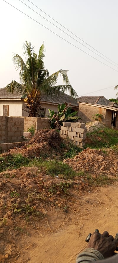 The image captures a scene in what appears to be a semi-urban or rural setting, consistent with Ketu Adieowe, Nigeria. In the foreground, the ground is composed of reddish-brown soil and patches of green grass. A dark-skinned hand, possibly holding a motorcycle or bicycle handlebar, is visible in the bottom right corner, suggesting the photo was taken from a moving perspective.

Towards the midground, there are several piles of building materials: stacks of grey concrete blocks and a large mound of dry, hay-like brush. Behind these materials, a prominent coconut palm tree stands, laden with green coconuts. Adjacent to the palm tree, some banana plants are also visible.

In the background, two single-story houses with corrugated metal roofs are situated. The house on the left has a light-colored facade with windows, while the one on the right appears to be under construction or less finished, with exposed block walls. The sky is bright and clear, stretching above the houses and palm tree. Three thin power lines traverse the upper portion of the frame diagonally. The overall lighting suggests either early morning or late afternoon. No text is visible in the image.