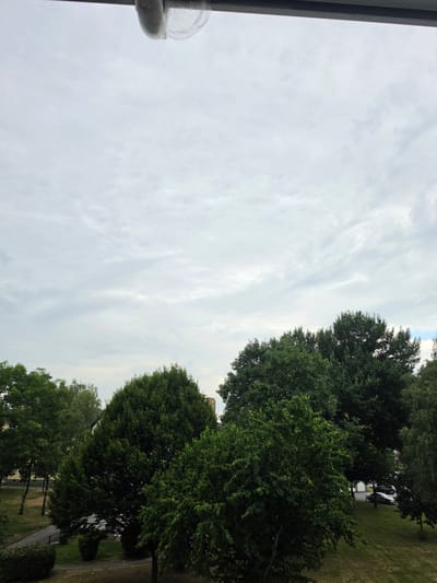 This is a vertical, medium-shot photograph of a cloudy sky and a line of green trees. The sky takes up the left two-thirds of the image and is filled with a variety of grey and white clouds. The clouds are wispy and streaky, with some areas appearing brighter than others, suggesting the sun is behind them. In the foreground, on the far left edge of the image, a dark metal pole with a clear, spherical object attached to it is partially visible. This object is likely part of a lamppost or similar fixture.

The right third of the image is dominated by lush green trees. The trees are dense and leafy, with varying shades of green indicating different species or the way light hits them. Some of the trees are taller and more mature, while others appear younger. Behind the trees, on the right side of the image, hints of man-made structures and a road are visible. Specifically, a silver car is parked near a garage-like building, and a paved path or road winds through the scene. This suggests an urban or suburban setting.

The overall impression is of an overcast day, possibly late afternoon or early evening, given the soft, diffused light. There are no people visible in the image. The scene appears peaceful and natural, with the man-made elements integrated into a green environment. The location context is Oberhausen, Germany. No text is visible in the image.